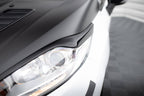 Brewki V.2 Ford Fiesta ST / ST-Line / Standard Mk7 FL