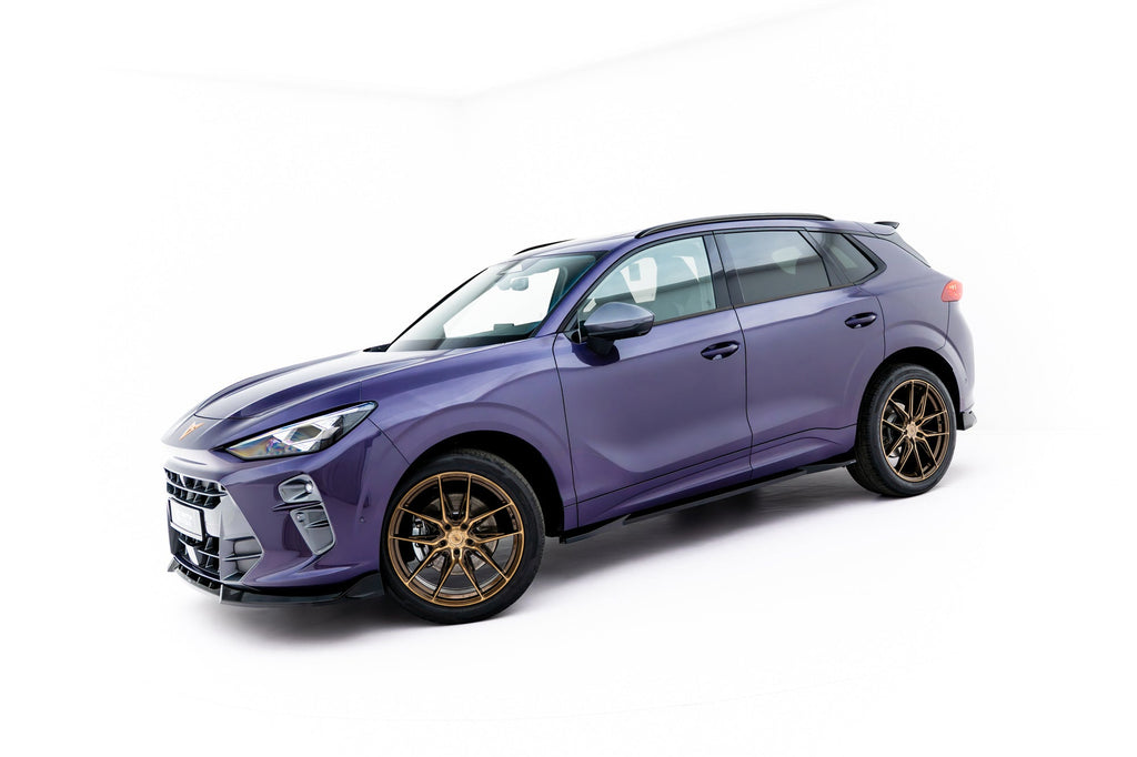 Taloneras Cupra Terramar Mk1