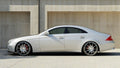 Taloneras Mercedes-Benz Clase CLS C219
