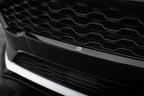 Ford Fiesta ST / ST-Line Mk8 Front Grill