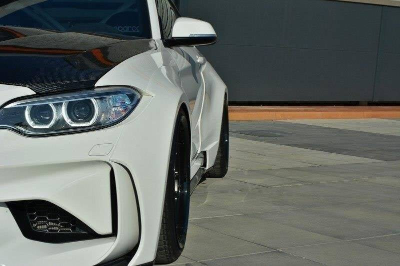 Aletas delanteras BMW M2 F87