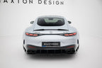Extensión de alerón 3D Mercedes-AMG GT 63 / 55 / 63 S E Performance C192