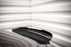 Porsche Panamera / Panamera Diesel 970 Spoiler Extension