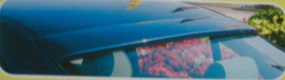 Spoiler de techo BMW Serie 5 E39
