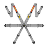 ARNÉS MOMO PRO DRIVER DE 6 PUNTOS (FIA)