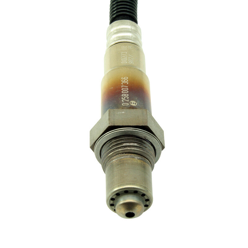 SONDA LAMBDA WIDE BAND (BOSCH 4.9LSU) - FULL GAS